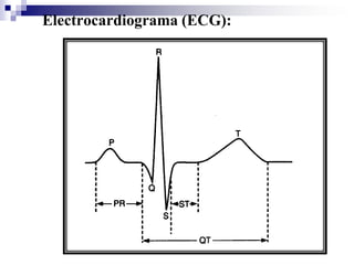 DEL SISTEMA: MERCURIO, MANGUERAS, FUGAS