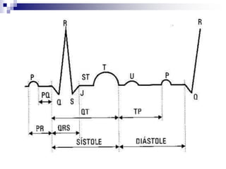 TIPO DE BRAZALETE, MANGUITO INSUFLADOR