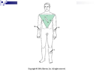  CAMARA DEMASIADO ESTRECHA     O DEMASIADO CORTAPIEZA DE GOMA:VIEJAS, AGRIETADASPERMEABLESNIVEL DE MERCURIOPOR DEBAJO DEL 0VALVULASDEFECTUOSAS