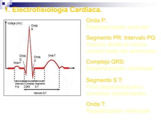 Valores Normales en el pulso
