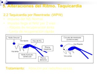 Palpação  arterialLocal e maneira de se palpar a artéria femural na prega inguinalLocal e maneira de se palpar a aorta abdominal, acima dasua bifurcação 