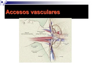 ElectrocardiogramaOnda P – depolarización   del atrio o aurículaOnda QRS – depolarización    de los ventrículosOnda T – repolarización    de los ventrículos