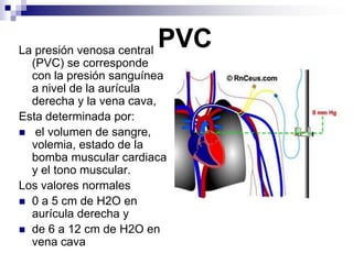 25/04/2011229ECG Intervals and Segments