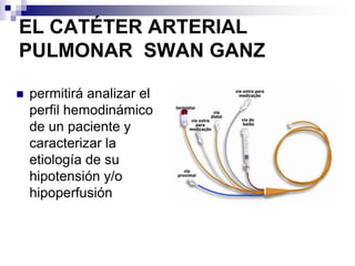 V. Bicúspide (Mitral)V. Semilunar PulmonarV. Semilunar AórticaV. Tricúspide AVD