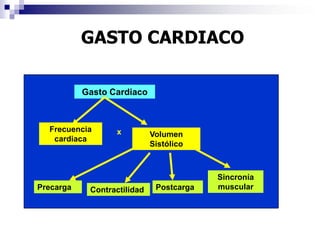    Entre 2 complejos 5 cuadros o más.
