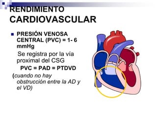    No deja de conducir el impulso. 
