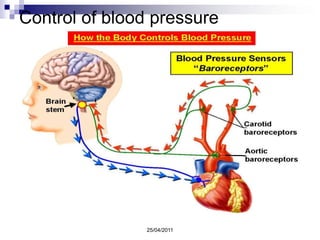 Activación eléctricaActivación eléctrica