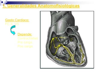 MECÁNICO               MIOCARDIOELEMENTOS