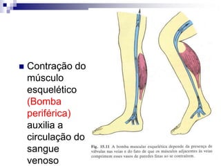 Flujo laminar:Este flujo se da en condiciones idealesCaracterísticas:Posee perfil parabólicoEn la pared del vaso el flujo tiende a ser ceroFlujo turbulento:Se produce por:Irregularidad en el vaso sanguíneoSe requiere de una mayor presión para movilizarloSe acompaña de vibraciones audibles llamadas SOPLOSTipos de Flujo