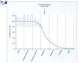 ramificação   secção transversal do sistema vascular   a velocidade do fluxo.