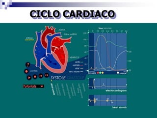 Precarga: es el volumen ventricular izquierdo al final de la diástole.Poscarga:  es la presión aortica.Volumen Latido: es el volumen de sangre expulsado en una contracción ventricular. Es 70 ml.Volumen Latido = Volumen al final de la diástole – Volumen al final de la sístoleFracción de expulsión: es la fracción del volumen al final de la diástole que es expulsada en un volumen latido. Es 0,55 o 55%.Fracción de expulsión = volumen latido / volumen al final de la diástoleGasto Cardiaco: es el volumen expulsado del ventrículo por minuto.Gasto cardiaco = volumen latido x Frecuencia CardiacaLey de Frank-Starling del corazón: “el volumen de sangre expulsado por el ventrículo depende del volumen presente en el ventrículo al final de la diástole”.