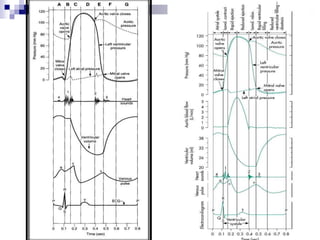 Ciclo Cardiaco
