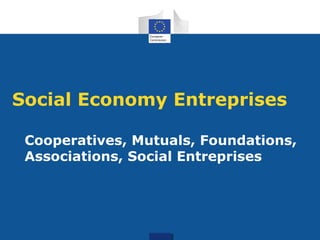 Social Economy Entreprises 
Cooperatives, Mutuals, Foundations, 
Associations, Social Entreprises 
 