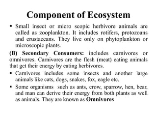 Component of Ecosystem
 Small insect or micro scopic herbivore animals are
called as zooplankton. It includes rotifers, protozoans
and crustaceans. They live only on phytoplankton or
microscopic plants.
(B) Secondary Consumers: includes carnivores or
omnivores. Carnivores are the flesh (meat) eating animals
that get their energy by eating herbivores.
 Carnivores includes some insects and another large
animals like cats, dogs, snakes, fox, eagle etc.
 Some organisms such as ants, crow, sparrow, hen, bear,
and man can derive their energy from both plants as well
as animals. They are known as Omnivores
 