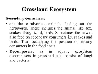 Grassland Ecosystem
Secondary consumers:
• are the carnivorous animals feeding on the
herbivores. These includes the animal like fox,
snakes, frog, lizard, birds. Sometimes the hawks
also feed on secondary consumers i.e. snakes and
birds. Thus occupying the position of tertiary
consumers in the food chain.
• Decomposers: as in aquatic ecosystem
decomposers in grassland also consist of fungi
and bacteria.
 
