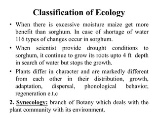 Classification of Ecology
• When there is excessive moisture maize get more
benefit than sorghum. In case of shortage of water
116 types of changes occur in sorghum.
• When scientist provide drought conditions to
sorghum, it continue to grow its roots upto 4 ft depth
in search of water but stops the growth.
• Plants differ in character and are markedly different
from each other in their distribution, growth,
adaptation, dispersal, phonological behavior,
regeneration e.t.c
2. Synecology: branch of Botany which deals with the
plant community with its environment.
 