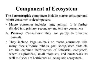 Component of Ecosystem
The heterotrophic component include macro consumer and
micro consumer or decomposers.
• Macro consumer includes large animal. It is further
divided into primary, secondary and tertiary consumers
A. Primary Consumers: they are purely herbivorous
animals.
• They include large animals or macro consumers like
many insects, mouse, rabbits, goat, sheep, deer, birds etc
are the common herbivorous of terrestrial ecosystem
where as protozoa, small molluses, and crustaceans as
well as fishes are herbivores of the aquatic ecosystem.
 