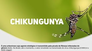 INTERNA
É uma arbovirose cujo agente etiológico é transmitido pela picada de fêmeas infectadas do
gênero Aedes. No Brasil, até o momento, o vetor envolvido na transmissão do vírus chikungunya (CHIKV) é o
Aedes aegypti.
 