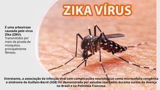 INTERNA
É uma arbovirose
causada pelo vírus
Zika (ZIKV).
Transmitidos por
meio da picada de
mosquitos,
principalmente
fêmeas.
Entretanto, a associação da infecção viral com complicações neurológicas como microcefalia congênita
e síndrome de Guillain-Barré (SGB) foi demonstrada por estudos realizados durante surtos da doença
no Brasil e na Polinésia Francesa.
 