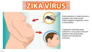INTERNA
Pode prejudicar o bebê durante a
gravidez, pois pode causar
malformações congênitas, como
a microcefalia.
A gestante infectada pode
transmitir o vírus para o feto em
qualquer fase da gravidez,
mesmo sem apresentar
sintomas.
 