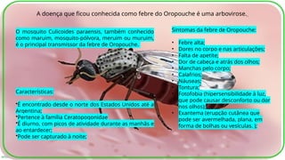 INTERNA
A doença que ficou conhecida como febre do Oropouche é uma arbovirose.
O mosquito Culicoides paraensis, também conhecido
como maruim, mosquito-pólvora, meruim ou muruim,
é o principal transmissor da febre de Oropouche.
Características:
•É encontrado desde o norte dos Estados Unidos até a
Argentina;
•Pertence à família Ceratopogonidae
•É diurno, com picos de atividade durante as manhãs e
ao entardecer;
•Pode ser capturado à noite;
Sintomas da febre de Oropouche:
• Febre alta;
• Dores no corpo e nas articulações;
• Falta de apetite;
• Dor de cabeça e atrás dos olhos;
• Manchas pelo corpo;
• Calafrios;
• Náuseas;
• Tontura;
• Fotofobia (hipersensibilidade à luz,
que pode causar desconforto ou dor
nos olhos);
• Exantema (erupção cutânea que
pode ser avermelhada, plana, em
forma de bolhas ou vesículas. );
 