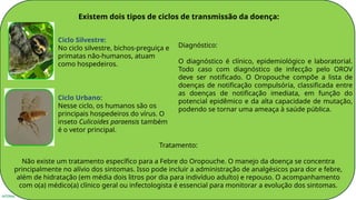 INTERNA
Existem dois tipos de ciclos de transmissão da doença:
Diagnóstico:
O diagnóstico é clínico, epidemiológico e laboratorial.
Todo caso com diagnóstico de infecção pelo OROV
deve ser notificado. O Oropouche compõe a lista de
doenças de notificação compulsória, classificada entre
as doenças de notificação imediata, em função do
potencial epidêmico e da alta capacidade de mutação,
podendo se tornar uma ameaça à saúde pública.
Ciclo Silvestre:
No ciclo silvestre, bichos-preguiça e
primatas não-humanos, atuam
como hospedeiros.
Ciclo Urbano:
Nesse ciclo, os humanos são os
principais hospedeiros do vírus. O
inseto Culicoides paraensis também
é o vetor principal.
Tratamento:
Não existe um tratamento específico para a Febre do Oropouche. O manejo da doença se concentra
principalmente no alívio dos sintomas. Isso pode incluir a administração de analgésicos para dor e febre,
além de hidratação (em média dois litros por dia para indivíduo adulto) e repouso. O acompanhamento
com o(a) médico(a) clínico geral ou infectologista é essencial para monitorar a evolução dos sintomas.
 