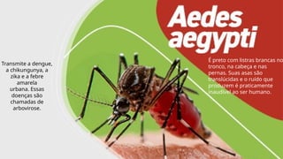 INTERNA
Transmite a dengue,
a chikungunya, a
zika e a febre
amarela
urbana. Essas
doenças são
chamadas de
arbovirose.
É preto com listras brancas no
tronco, na cabeça e nas
pernas. Suas asas são
translúcidas e o ruído que
produzem é praticamente
inaudível ao ser humano.
 