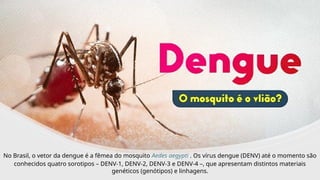 INTERNA
No Brasil, o vetor da dengue é a fêmea do mosquito Aedes aegypti . Os vírus dengue (DENV) até o momento são
conhecidos quatro sorotipos – DENV-1, DENV-2, DENV-3 e DENV-4 –, que apresentam distintos materiais
genéticos (genótipos) e linhagens.
 