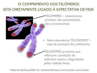 O COMPRIMENTO DOS TELÔMEROS 
ESTA DIRETAMENTE LIGADO À EXPECTATIVA DE VIDA 
TELÔMERO – revestimento 
protetor das extremidades 
dos cromossomos. 
• Nova descoberta: TELOSOMO* - 
capa de proteção dos telômeros; 
TELOSOMO: proteínas que 
reforçam a proteção do 
telômero contra a degradação 
pelos radicais livres. 
CROMOSSOMO 
* 
Nobel 
de 
Medicina/2009: 
Drs. 
Elizabeth 
Blackburn, 
Carol 
Greider 
e 
Jack 
Szostak. 
 