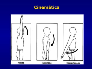 Cinemática
 