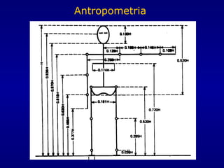 Antropometria
 