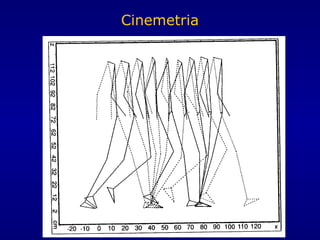 Cinemetria
 