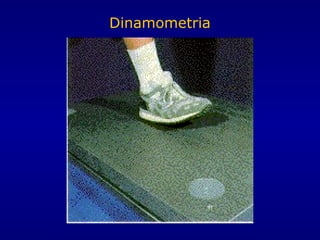 Dinamometria
 