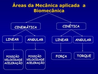 CINEMÁTICA
ANGULAR
POSIÇÃO
VELOCIDADE
ACELERAÇÃO
CINÉTICA
POSIÇÃO
VELOCIDADE
ACELERAÇÃO
Áreas da Mecânica aplicada a
Biomecânica
ANGULARLINEAR LINEAR
FORÇA TORQUE
 