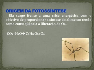Ela surge frente a uma crise energética com o
objetivo de proporcionar a síntese do alimento tendo
como conseqüência a liberação de O2.

CO2+H2OC6H12O6+O2
 