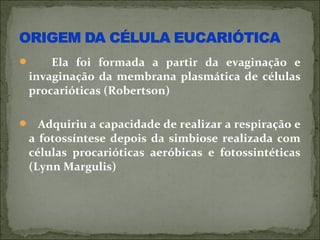     Ela foi formada a partir da evaginação e
 invaginação da membrana plasmática de células
 procarióticas (Robertson)

 Adquiriu a capacidade de realizar a respiração e
 a fotossíntese depois da simbiose realizada com
 células procarióticas aeróbicas e fotossintéticas
 (Lynn Margulis)
 
