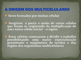  Seres formados por muitas células

 Surgiram a partir a união de várias células
 que foram se originando da multiplicação de
 uma única célula inicial – o zigoto

 Estas células começaram a dividir o trabalho
 possibilitando uma maior especialização
 permitindo o surgimento de tecidos e dos
 órgãos dos organismos multicelulares
 