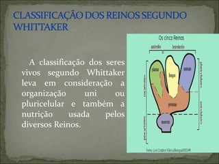 A classificação dos seres
vivos segundo Whittaker
leva em consideração a
organização      uni    ou
pluricelular e também a
nutrição     usada    pelos
diversos Reinos.
 