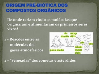 De onde teriam vindo as moléculas que
 originaram e alimentaram os primeiros seres
 vivos?

1 – Reações entre as
    moléculas dos
    gases atmosféricos

2 – “Semeadas” dos cometas e asteróides
 