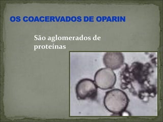 São aglomerados de
proteínas
 