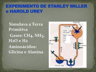 Simulava a Terra
Primitiva
Gases: CH4, NH3,
H2O e H2
Aminoácidos:
Glicina e Alanina
 