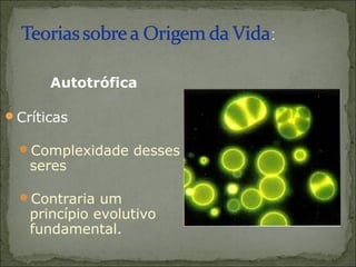 Autotrófica

Críticas

  Complexidade desses
   seres

  Contraria um
   princípio evolutivo
   fundamental.
 