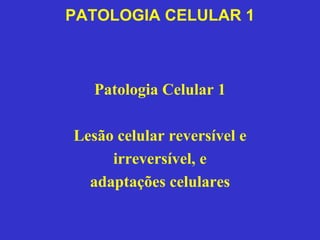 PATOLOGIA CELULAR 1 
Patologia Celular 1 
Lesão celular reversível e 
irreversível, e 
adaptações celulares 
 