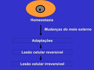 Homeostasia 
Mudanças do meio externo 
Adaptações 
Lesão celular reversível 
Lesão celular irreversível 
 