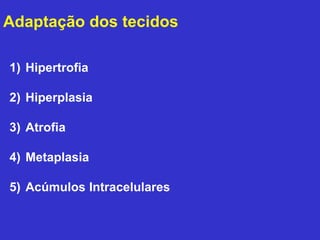 Adaptação dos tecidos 
1) Hipertrofia 
2) Hiperplasia 
3) Atrofia 
4) Metaplasia 
5) Acúmulos Intracelulares 
 