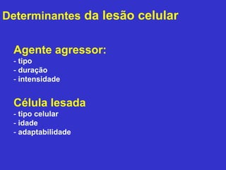 Determinantes da lesão celular 
Agente agressor: 
- tipo 
- duração 
- intensidade 
Célula lesada 
- tipo celular 
- idade 
- adaptabilidade 
 