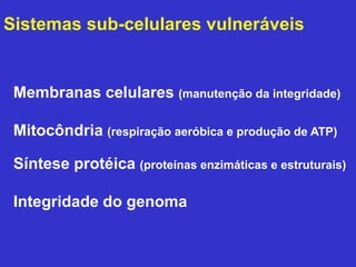 Sistemas sub-celulares vulneráveis 
Membranas celulares (manutenção da integridade) 
Mitocôndria (respiração aeróbica e produção de ATP) 
Síntese protéica (proteínas enzimáticas e estruturais) 
Integridade do genoma 
 