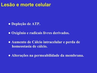 Lesão e morte celular 
● Depleção de ATP. 
● Oxigênio e radicais livres derivados. 
● Aumento de Cálcio intracelular e perda de 
homeostasia de cálcio. 
● Alterações na permeabilidade da membrana. 
 