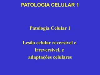 PATOLOGIA CELULAR 1 
Patologia Celular 1 
Lesão celular reversível e 
irreversível, e 
adaptações celulares 
 