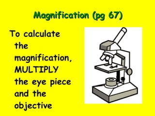 SWBAT explain how to use a microscope 